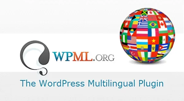 WPML String Translation Addon