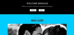 Themify Bold WordPress Theme GPL  Activation