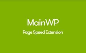MainWP Page Speed Extension