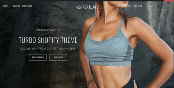 Turbo Shopify Gpl Wordpress Theme