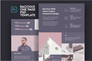 Bacchus - One Page PSD Template | Srmehranclub.com