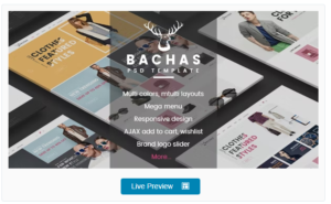 Download Bachas - DRAG & DROP Multipurpose Responsive Shopify Theme