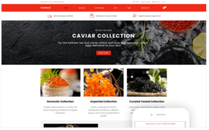 Download FISHKID - Food Store Creative Shopify Theme