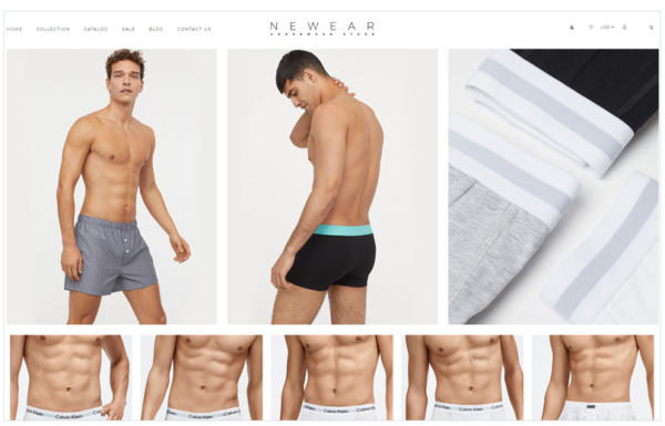 Download Newear - Men's Underwear Multipage Clean Shopify Theme