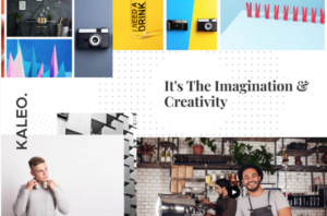 Kaleo - Creative Portfolio Template Kit | srmehranclub.com