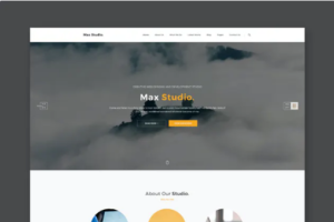 Max Studio - Portfolio PSD Template | Srmehranclub.com