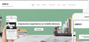 WPZoom Angle WordPress Theme 2.0.6