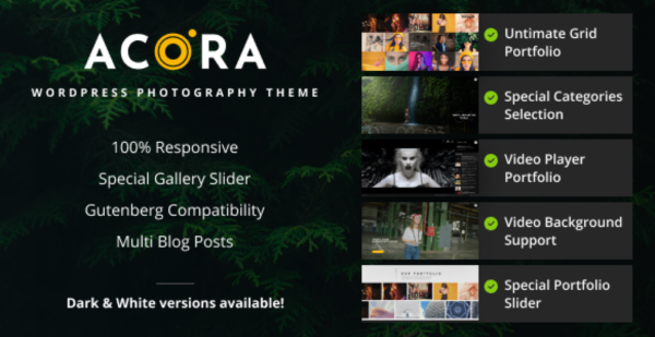 Acora – Photography WordPress Theme GPL