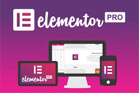 Elementor Pro Plugin